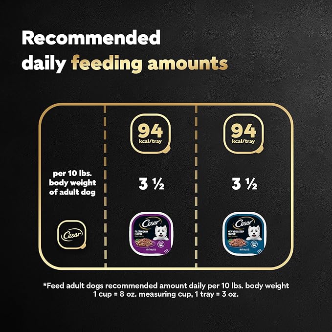 Cesar Filets in Gravy Adult Wet Dog Food, Filet Mignon and New York Strip Flavors Variety Pack, 3.5 oz. (12 Count, Pack of 1)