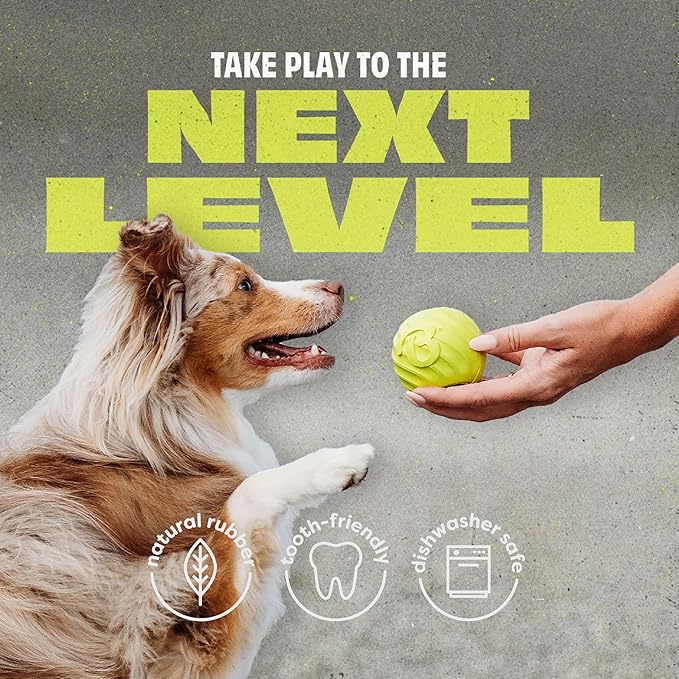 Benebone 4-Pack Rubber Ball