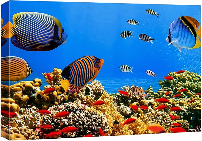 wall26 Canvas Print Wall Art Tropical Island Underwater Fish Red Anemone Nature Animals Photography Realism Rustic Scenic Landscape Wilderness Colorful for Living Room, Bedroom, Office - 24"x36"