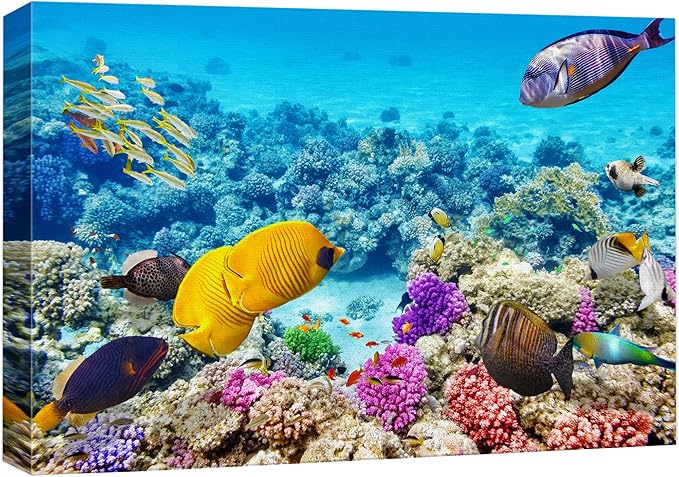 wall26 Canvas Print Wall Art Tropical Underwater Ocean Sea Fish Reef Nature Animals Photography Realism Rustic Scenic Landscape Wilderness Earth Colorful for Living Room, Bedroom, Office - 16"x24"