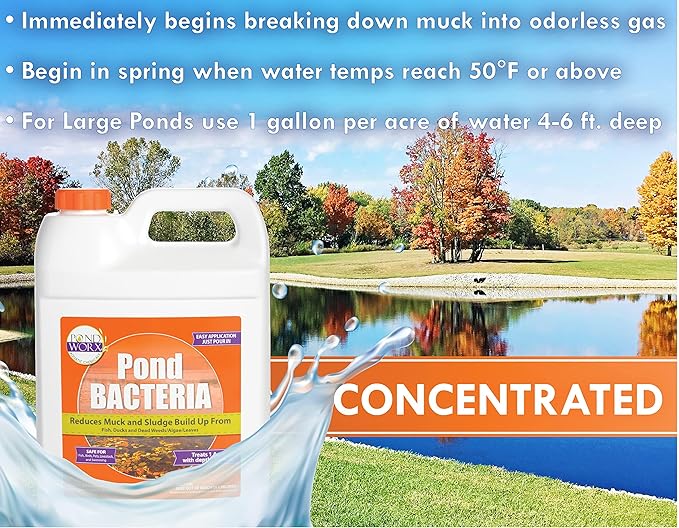 Pondworx Pond Bacteria - Formulated for Water Features and Safe for Koi (4 Gallon Value Pack)
