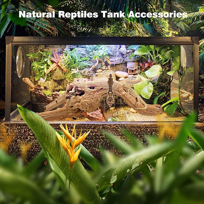 WDEFUN Natural Spiderwood for Aquarium Decor 7-Piece 4''-8'' Long Natural Driftwood Branches for Fish Tank Decorations