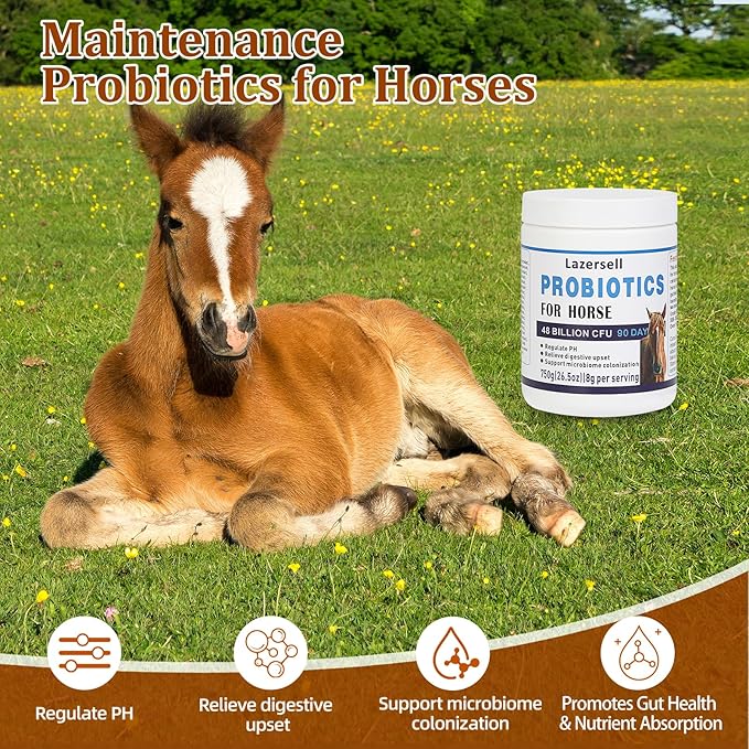 Probiotics for Horses Dietary Supplement, All-Natural Digestive System Maintenance Formula Equine Digestion Support Horse Health Supplements (90 Days)