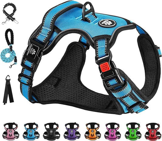 NESTROAD No Pull Dog Vest Harness with Leash, Adjustable Reflective Oxford Pet Harness with Easy Control Handle for Small Dogs, Blue