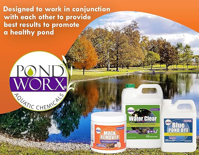 Pondworx Pond Bacteria - Formulated for Water Features and Safe for Koi (4 Gallon Value Pack)