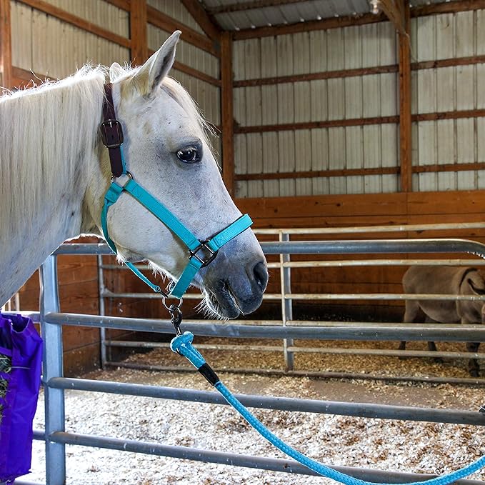 Majestic Ally Leather Halter with Matching Lead Rope for Horses – Leather Breakaway Crown - Adjustable Chin Strap – Rolled Throat Latch – Padded Noseband – Full (Black-Black Nickel, Full)
