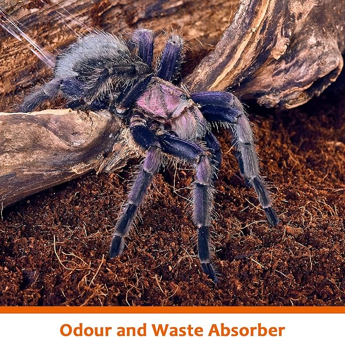 Riare 2 Pack Natural Coconut Fiber Substrate for Reptile- Premium Compressed Coconut Husk Terrarium Bedding for Reptile, Tortoise, Frogs, Snakes Hermit Crabs, Burrowing Animals