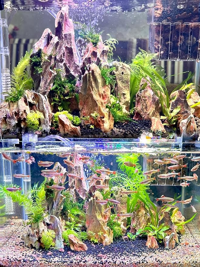 Dragon Rocks Aquarium Rock aquascaping Natural Stone Rocks Fish Tank Decor Rocks for Aquariums Landscaping Model Tank Decoration Aquarium Miniature -20Lb (2-8 inch)