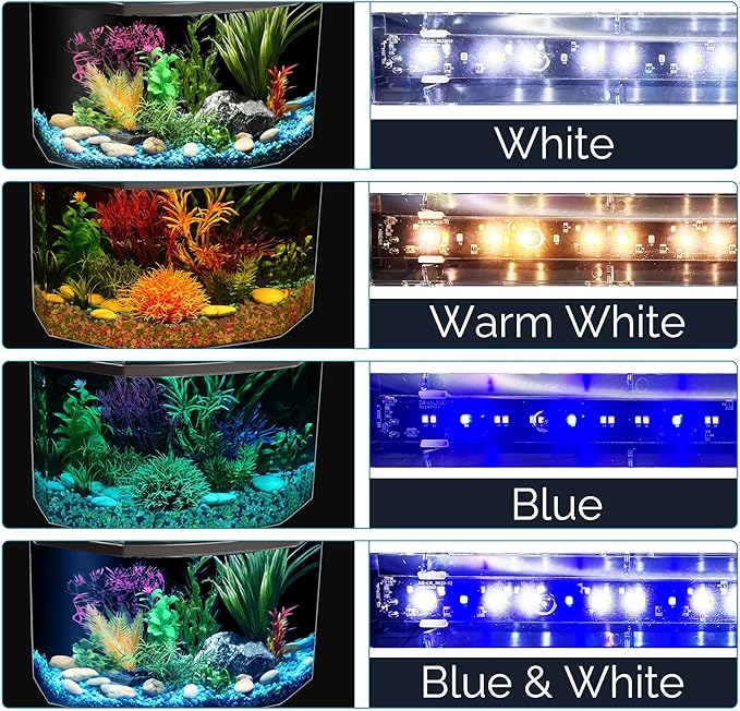 Koller Products Plastic 3-Gallon Aquarium Starter Kit with 4 Colors LED Lighting and Complete Filtration, Ideal for a Variety of Tropical Fish, Betta Fish, Tropical Fish, Cichlids, Ornamental Shrimp