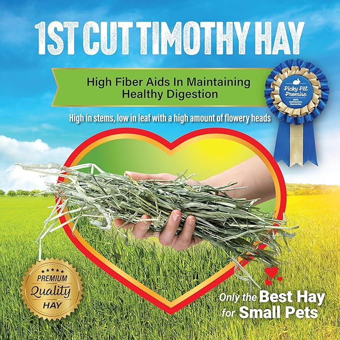 Small Pet Select 1st Cutting Timothy Hay, Animal Food for Guinea Pig, Rabbit, Hamster, Bunny, or Chinchilla, Natural Hay Grown in the USA, 2lb