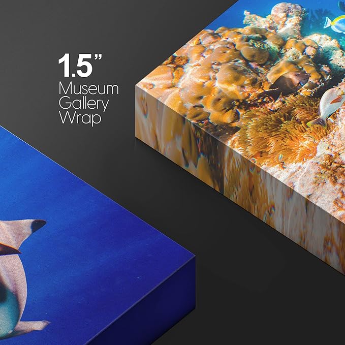 wall26 Canvas Print Wall Art Shark Fish Multicolor Coral Reef Ocean Sea Nature Animals Photography Realism Rustic Scenic Landscape Wilderness Earth for Living Room, Bedroom, Office - 12"x18"