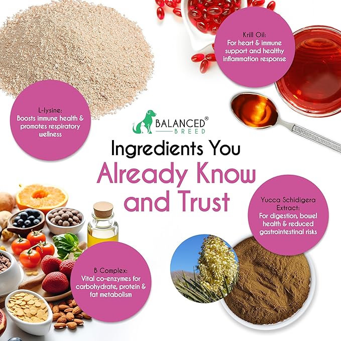 Balanced Breed L-Lysine Cats Immune Support Soft Chews Made in USA Vet-Pharmacist Approved Seasonal Allergy Relief Cat Vitamins Indoor Cats Supplements Krill Oil Asthma Relief Cat Lysine Treats NonGMO