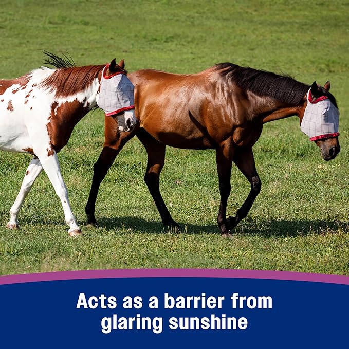 Farnam SuperMask II horse fly mask without ears, extended coverage, protects eyes from insects and debris, adjustable throat latch, Yearling size