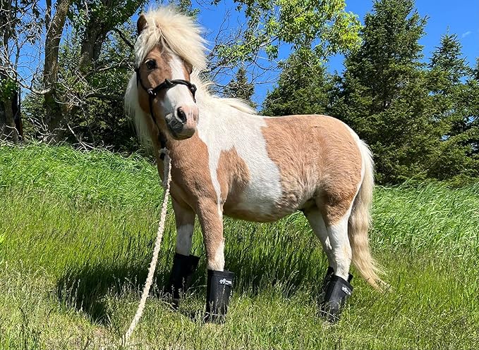 Warrior Fly Boots for Horses - Breathable Mesh Horse Boots for Fly Protection & Leg Comfort - Set of 4 (The Warrior, Neon Orange)