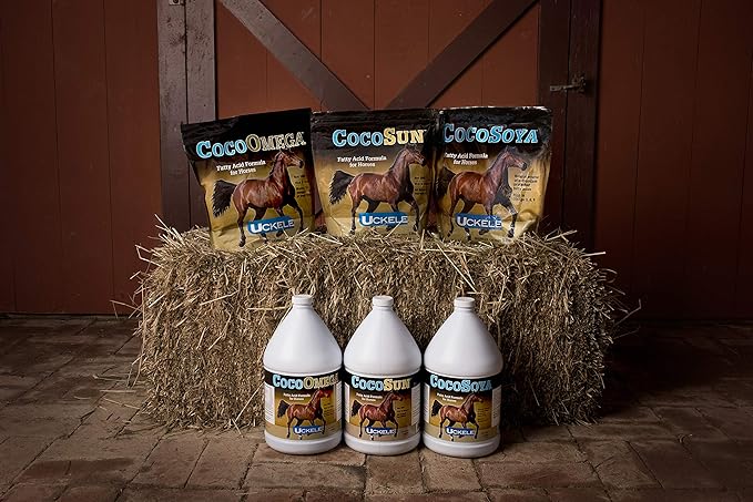 SmartEquine CocoSoya Oil | Oil for Skin and Coat | Contains Soybean and Coconut Oil for Overall Coat Shine and Horse Health | Nourishing Fatty Acids for a Lustrous Appearance | 5 Gallon