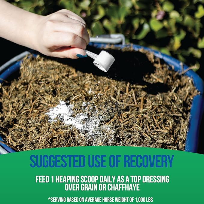 Pivotal Power+ Horse Supplement (174g/0.38lbs - 30 Servings) - 9 Equine Amino Acids Plus Probiotics for Horses - No Added Sugar, No Soy, No Fillers - Horse Joint Support Supplement, White