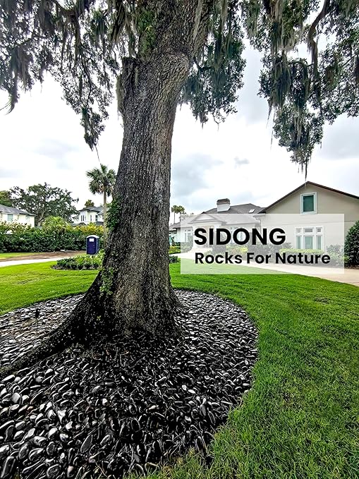 SIDONG 5 lbs Black River Rocks, 1.2-2 Inches Polished Pebbles for Indoor Plants, Aquarium Rocks Used in Fish Tank, Decorative Stones for Plants, Vases, Home Décor, Crafting, Garden Landscaping