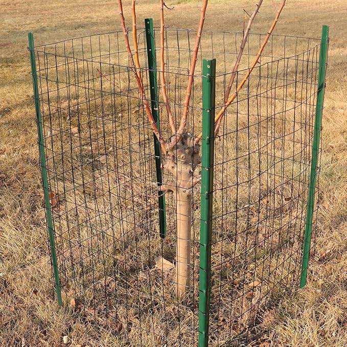 Black PVC Coated Welded Wire Fence 24 Inch x 50 Foot, 2 Inch x 3 Inch 16GA, Garden Border Fencing Roll Vinyl Coating Metal Wire Mesh for Yard Vegetable Plant Protection Poultry Netting