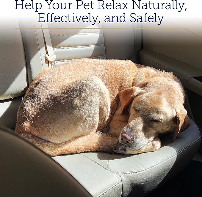 Rx Vitamins Liquid NutriCalm Cat & Small Dog Anxiety Relief - Sleep Aid - Calming Supplement - Dog Bark Control & Stress Relief - Salmon Flavor - 4 oz