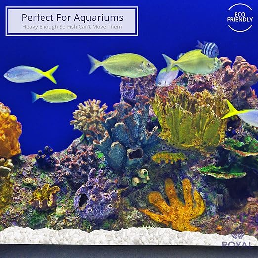 Royal Imports 5LBS River Pebbles Decorative Ornamental Rocks, Garden Landscaping Stones, Gravel Filler for Plants, Vases, Succulents, Home Decor, Aquariums, Crafting, Animal Habitat - Mini White