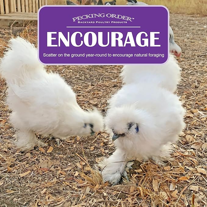 Pecking Order Dried Mealworms, 30 oz