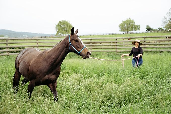 22' Long Line with SS O Ring and Carabiner (Pink)