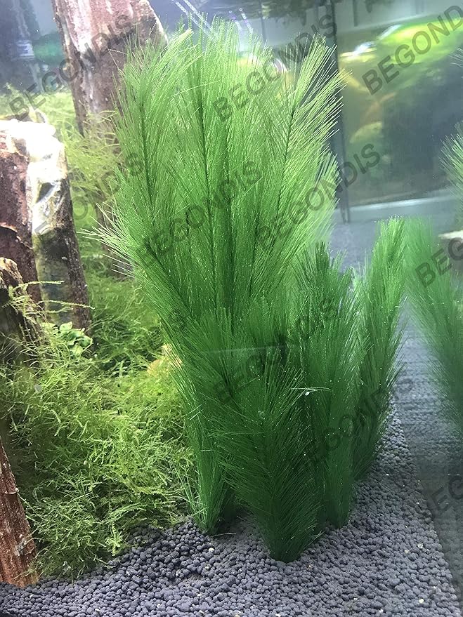 BEGONDIS 3Pcs Aquarium Decorations Fish Tank Artificial Green Water Plants Made of Silk Fabrics Plastic