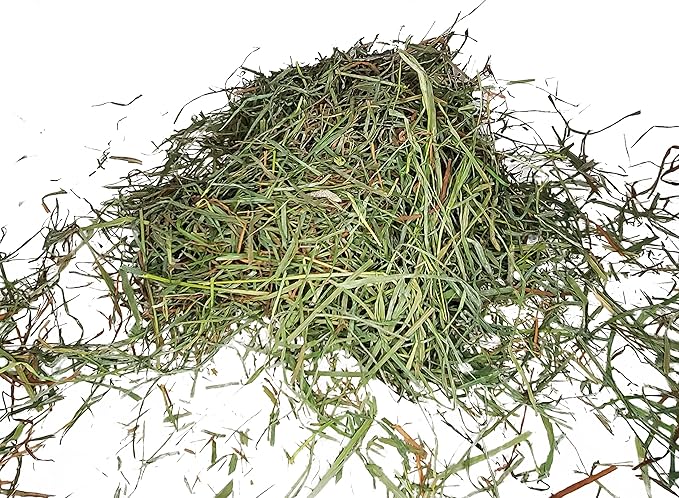 High Desert 2nd Cutting Timothy Grass Hay for Guinea Pigs, Rabbits, and More Small Animal Pets (16 lb)