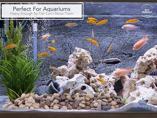 Royal Imports 5LBS River Rocks Decorative Ornamental Pebbles, Garden Landscaping Stones, Gravel Filler for Plants, Vases, Succulents, Home Decor, Aquariums, Crafting, Animal Habitat - Small Natural