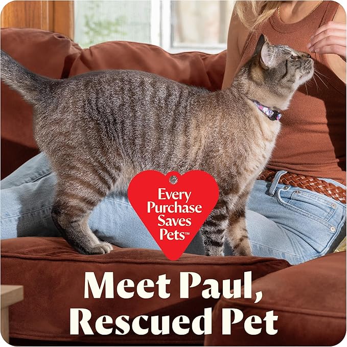 Bissell Little Green Mini Portable Carpet and Upholstery Deep Cleaner, Car/Auto Detailer, with HydroRinse Self-Cleaning Tool and 4" Tough Stain Tool, Limited Edition Color Dusk Pink, 4075L