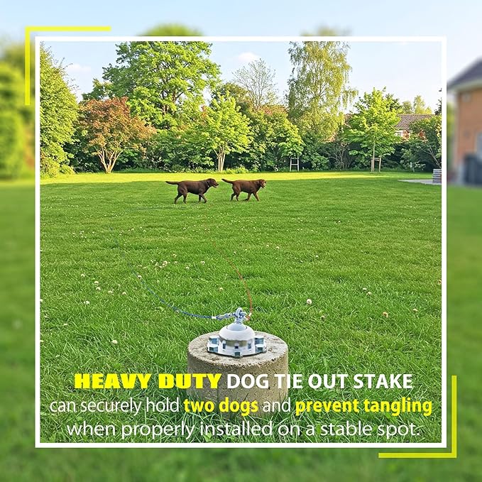 360° Swivel Dog Tie Out Stake with Upgrade 6 Screw Dog Anchors, Heavy Duty & Rust Proof Dog Stake Can Holds 1000Lbs of Pull Force, Up to 150lbs Dogs Perfect to Camping Yard Outdoor (Silver)