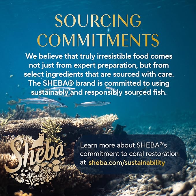 Sheba Perfect Portions Wet Cat Food Pate Savory Chicken, Roasted Turkey, with Sustainable Salmon, and Tender Whitefish & Tuna Variety Pack, 2.6 oz. Twin-Pack Trays (48 Count, 96 Servings)