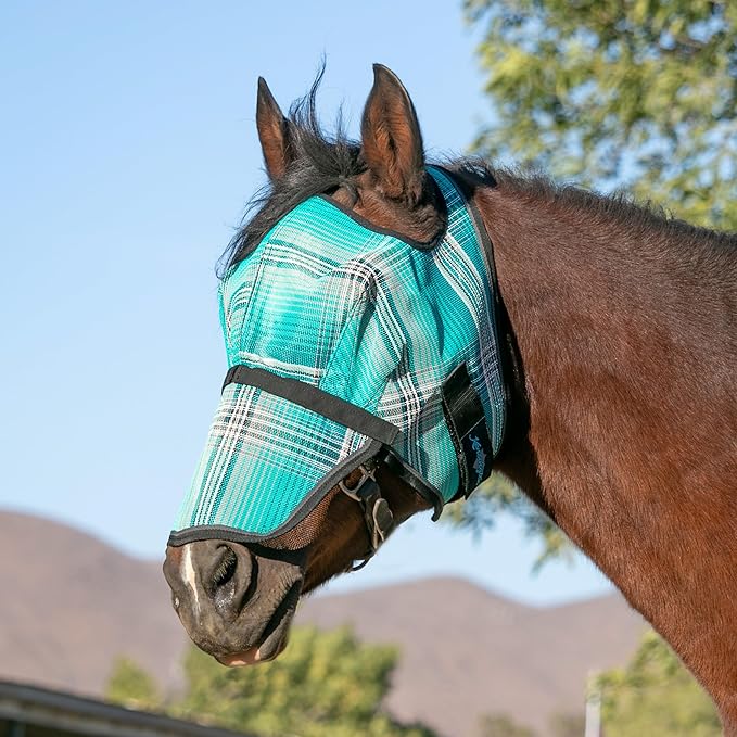 Kensington Signature Fly Mask with Removable Nose — Protects Horses Face and Nose from Biting Insects and UV Rays While Allowing Full Visibility — Ears and Forelock Able to Come Through The Mask