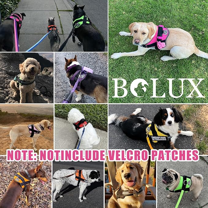 Bolux Dog Harness, No-Pull Reflective Dog Vest, Breathable Adjustable Pet Harness with Handle for Outdoor Walking - No More Pulling, Tugging or Choking (Fuchsia, XX-Large (Pack of 1))