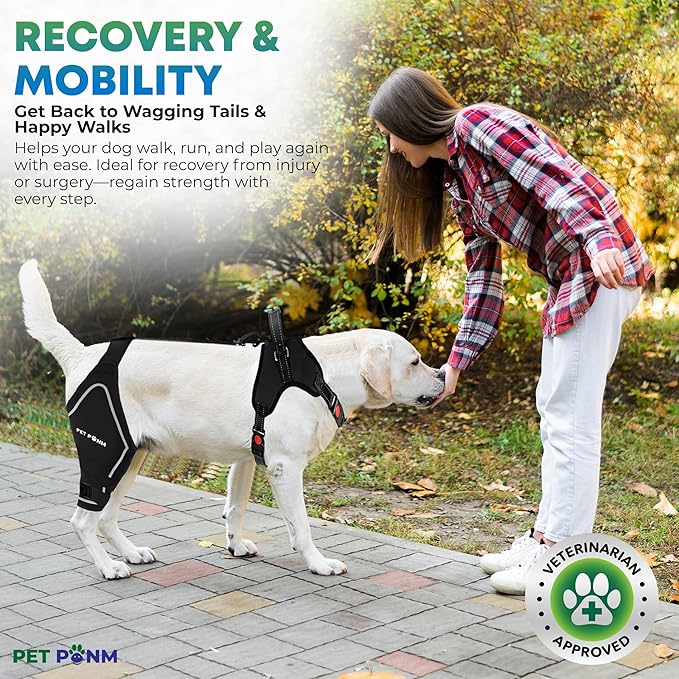 Dog ACL Knee Brace for Back Left Leg - with Integrated Harness - for Cruciate Ligament Injuries, Patellar Luxation, Post-Surgery Recovery. Durable, Breathable Material, Eases Pain - (Large)