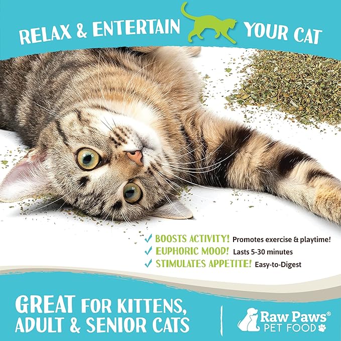 Raw Paws Fresh Catnip for Cats, 1-oz (2 Cups) - Use for Refillable Catnip Toys for Cats - Natural Dried Cat Nip