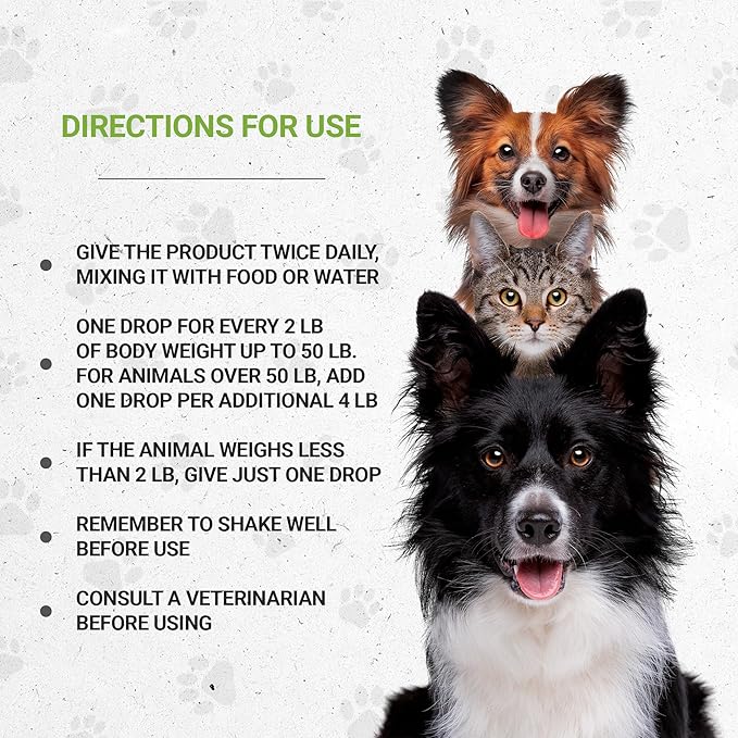 Lion's Heart | Natural Herbal Dietary Supplement for Cats | Healthy Heart Function Support in Cats | Alcohol-Free Extract, Dandelion Root, Lemon Balm, Calendula, Lavender, Fennel 2 oz