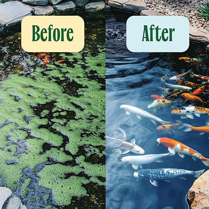 Pond Water Treatment Pods - 2X Strength Beneficial Pond Water Treatment w/Barley Straw for Reducing Sludge and Odors in Koi Ponds and Natural Ponds - Safe for Fish, Pets, & Swimming - 5lb.