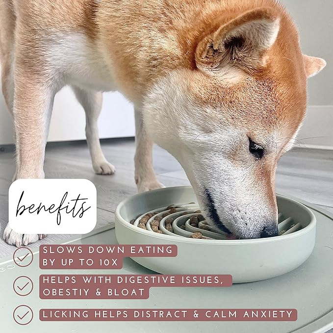 The Slowdown Bowl Silicone Slow Feeder for Dogs & Puppies, Slow Eating, Modern Lick Mat Design, Reduces Gulping, Fits 2 Cups 7.5” Across x 1.5” Tall, Mealtime Challenge, Medium-Charcoal