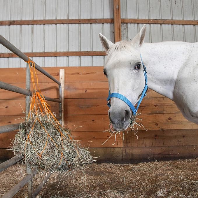 Majestic Ally 1200 D Hay Feeder Tote Bag for Horses, Sheep with Reflective Trim- Reduces Waste - Comes with 36” Hay Net. (Turquoise)