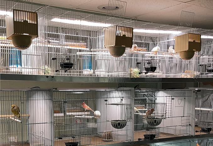 HappyBird Lightning (A Divison of M&M Cage) 24" LED linkable Light bar Without Power Source for Multiple Bird Breeder Cages, Full Spectrum LED. Will NOT Run ON ITS OWN (Single)