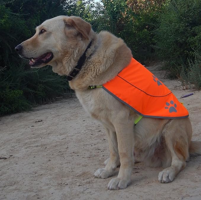 Dog Hunting Vest Reflective Dog Vest - Dog Safety Vest with Elastic Strap, Comfortable Dog Reflective Vest, Reflective Dog Safety Jacket High Visibility Vest for Dogs