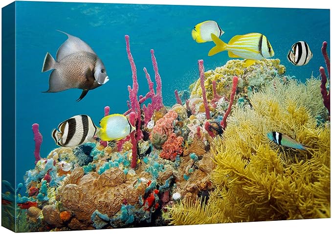 wall26 Canvas Print Wall Art Deep Sea Marine Fish with Coral Reef Nature Ocean Photography Realism Nautical Scenic Relax/Calm Multicolor Ultra for Living Room, Bedroom, Office - 24"x36"