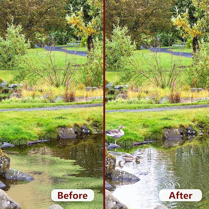 Pond Clear Water Treatment,6 Packets Natural Pond Water Clear for Lakes,Beneficial Bacteria & Enzyme Clarifier Treatment to Improve Water Clarity & Eliminate Odor,Safe for Fish