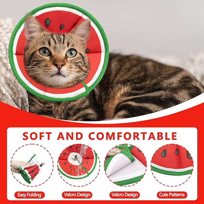 Soft Adjustable Cat Cone Collar - Comfortable Recovery Collar for Cats After Surgery (Watermelon, Medium)