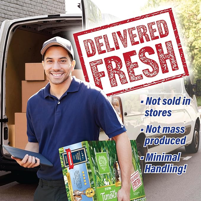 Small Pet Select 1st Cut Timothy Hay Pet Food for Rabbits, Guinea Pigs, and Other Small Animals, Easy to Store Box, 10 LB