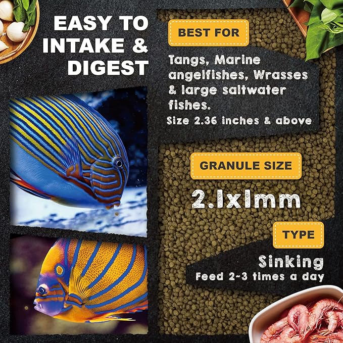Ultra Fresh Marine Fish Food, 75% Sword Prawns + Squids, Natural Protein, Color Enhancement, for Large Saltwater Fish, Marine Shrimp Patties L 5.29oz
