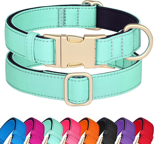 Didog Soft Padded Dog Collars for Medium Dogs, Colorful and Durable Dog Collar with Quick Release Buckle, Light and Breathable for Daily Walking, Green, M