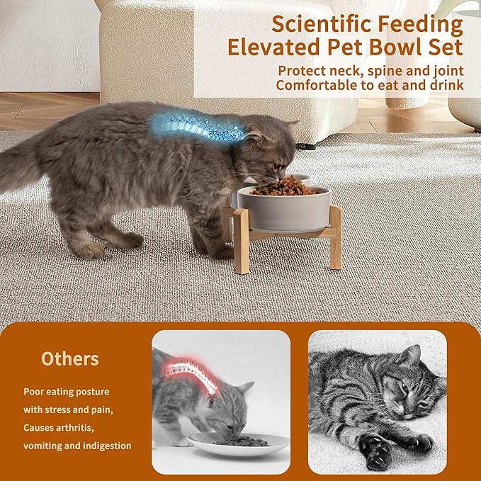 Elevated Ceramic Dog Bowl Set - Raised Feeding Bowls with Non-Slip Bamboo Stand - Small Pet Dishes for Food and Water - Ideal for Cats and Puppies - 16.23 OZ - 2 Cups - 480 ML