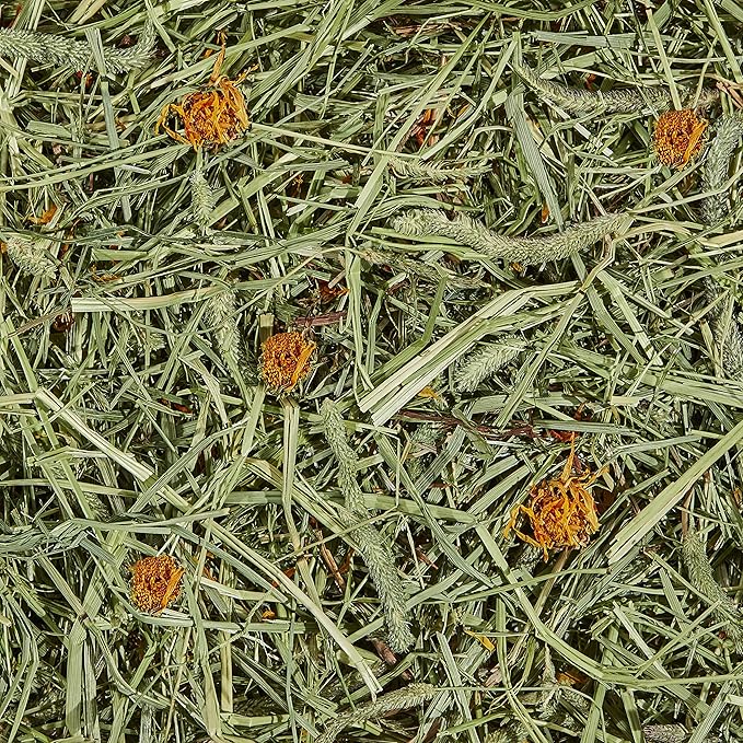 Kaytee All Natural Timothy Hay Plus Marigolds for Guinea Pigs, Rabbits & Other Small Animals, 24 Ounce (Pack of 2)